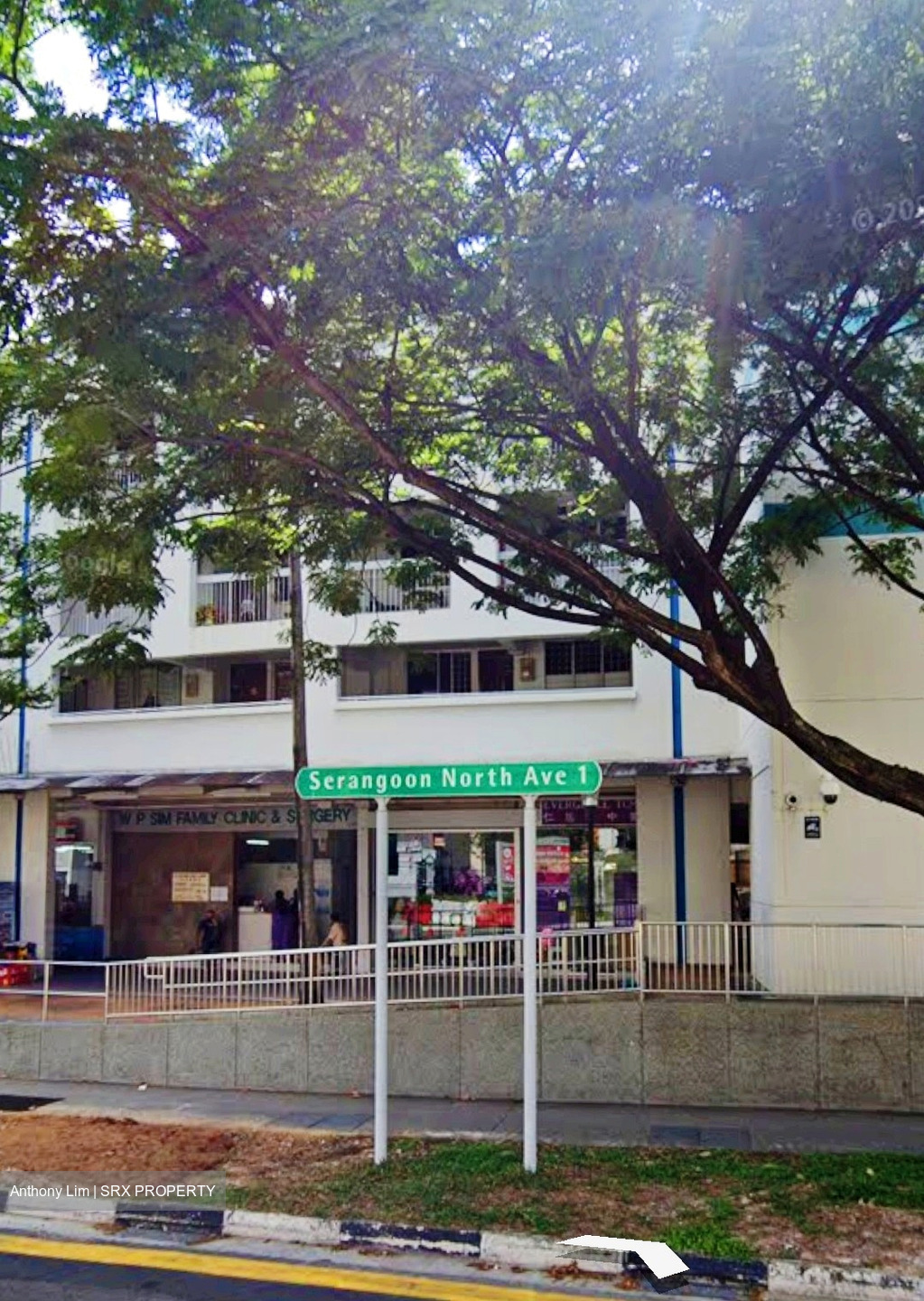 Serangoon North Avenue 2 (D19), Shop House #450679841